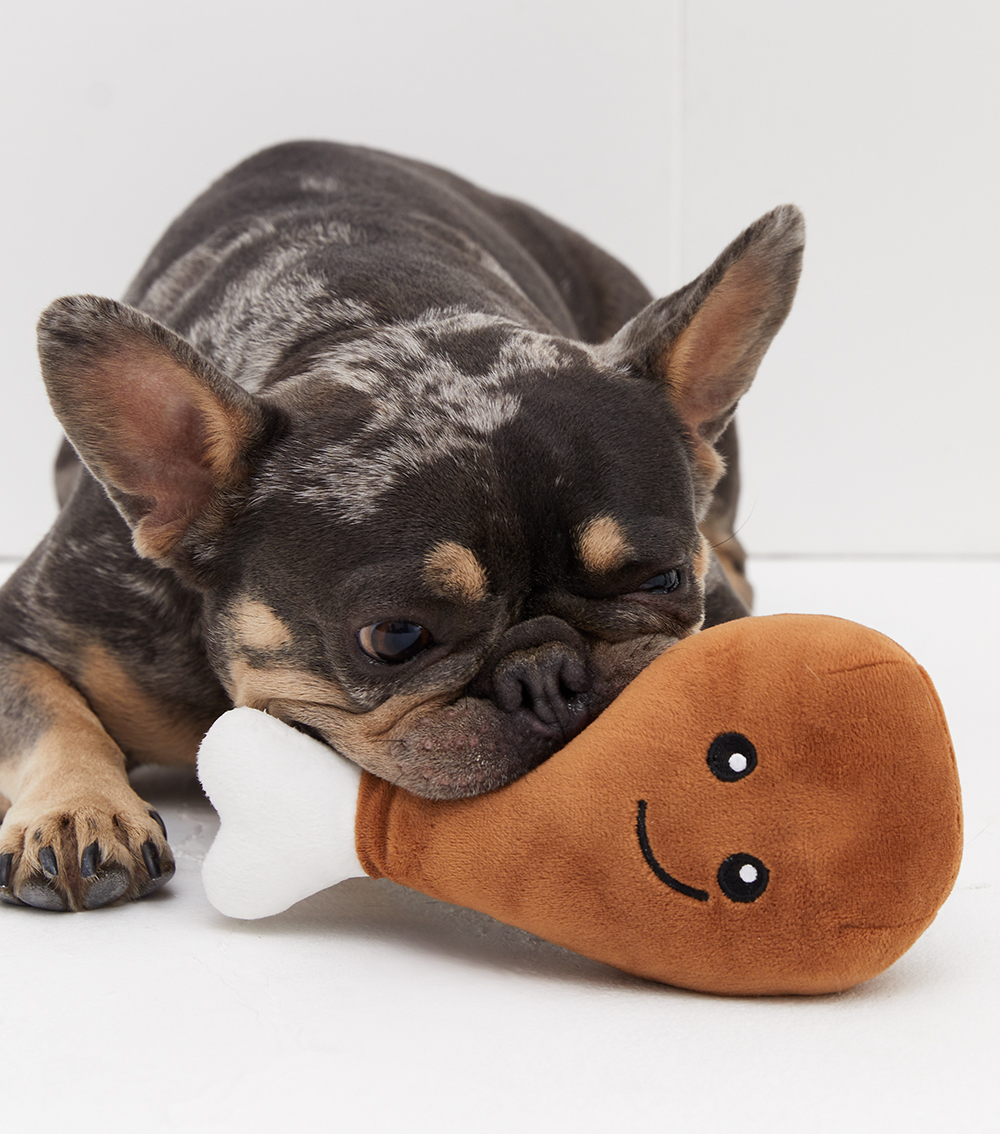 Studio photography Luxembourg — professional product and portrait shoot