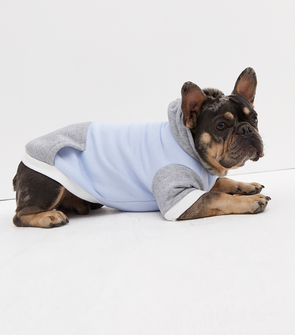 Brand photography studio Luxembourg — corporate visual identity shoot