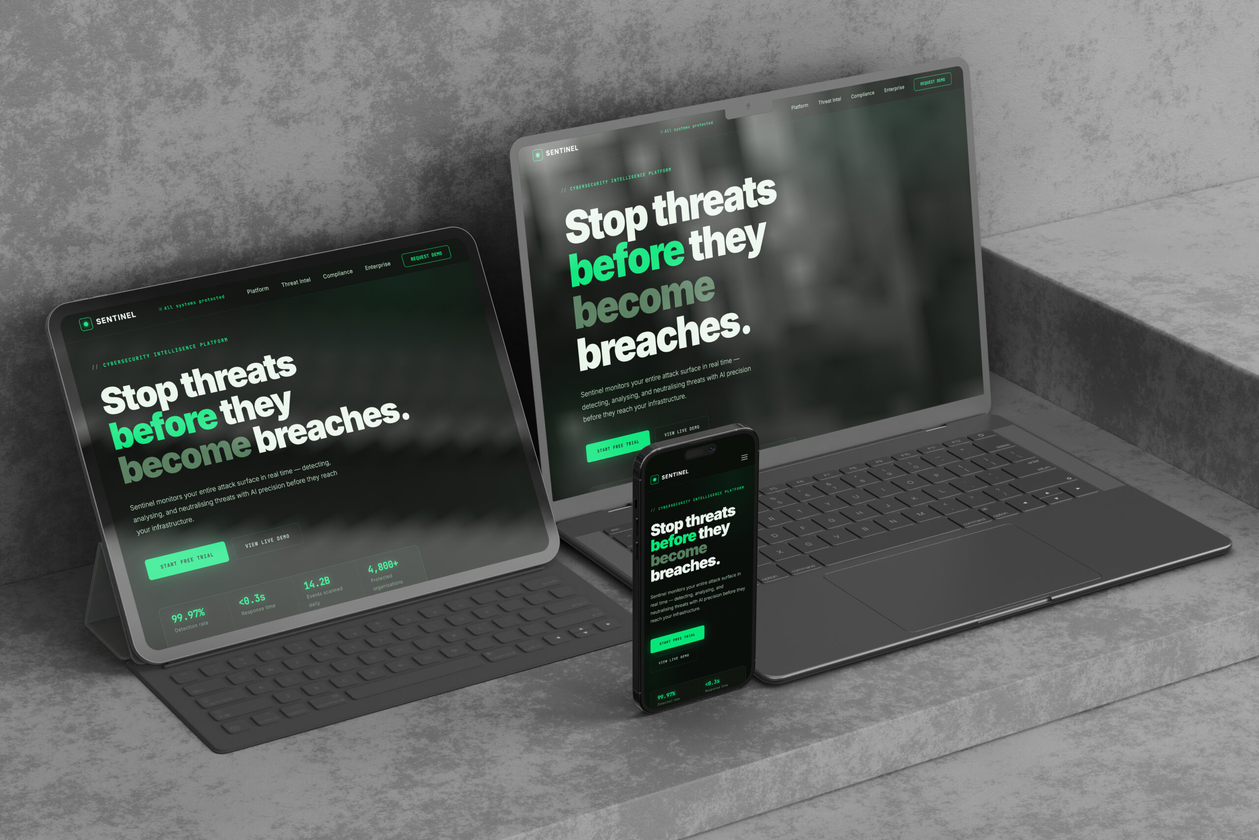 Professional website example